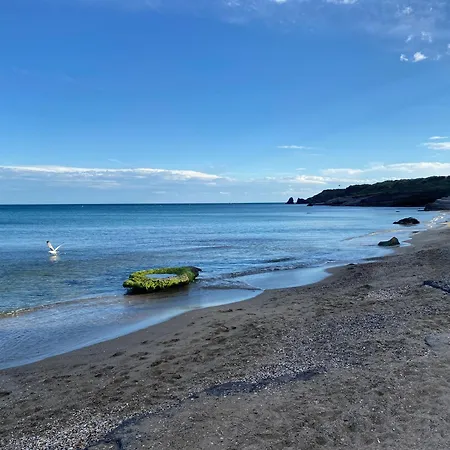 Loggia Et Terrasse Secteur Prise Des Falaises