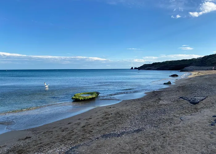 Loggia Et Terrasse Secteur Prise Des Falaises